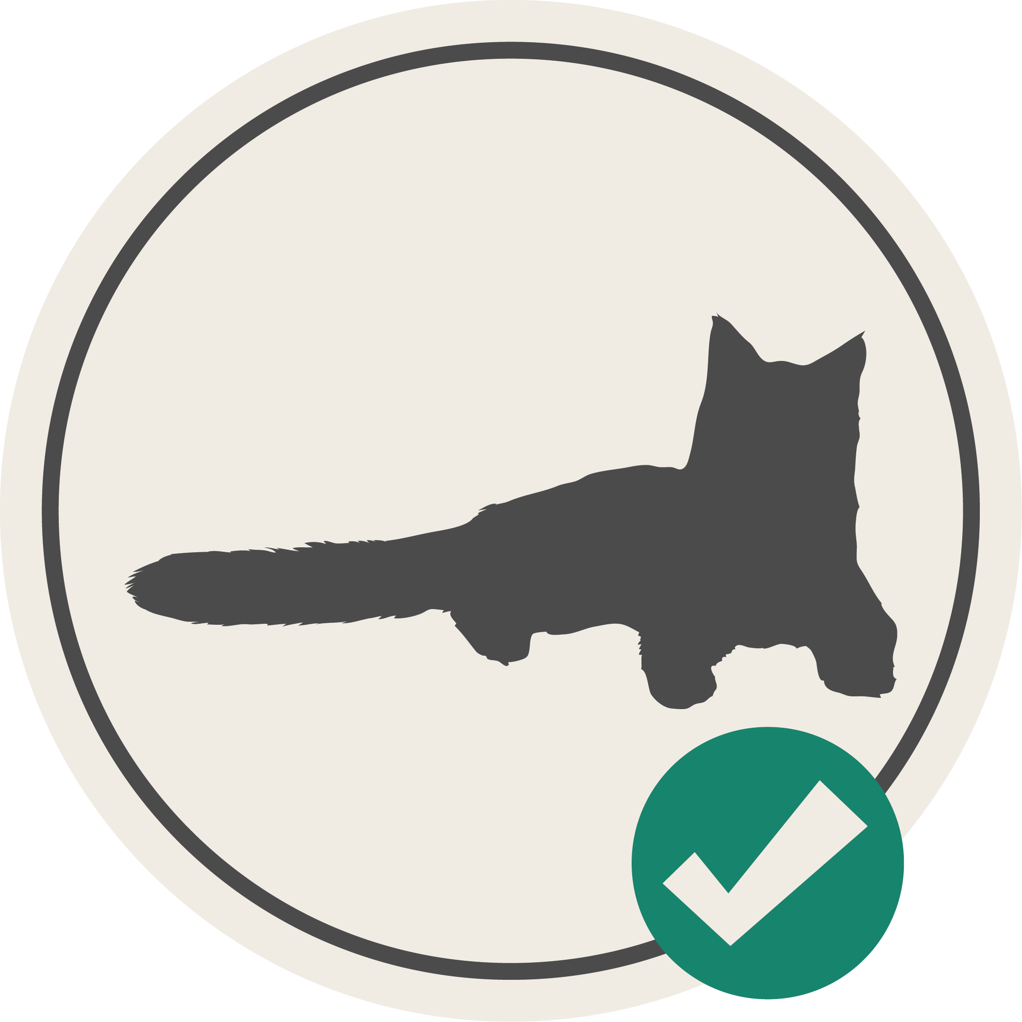 Minder actieve en/of senior katten